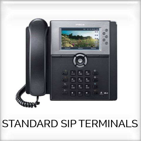 Standard SIP Terminals